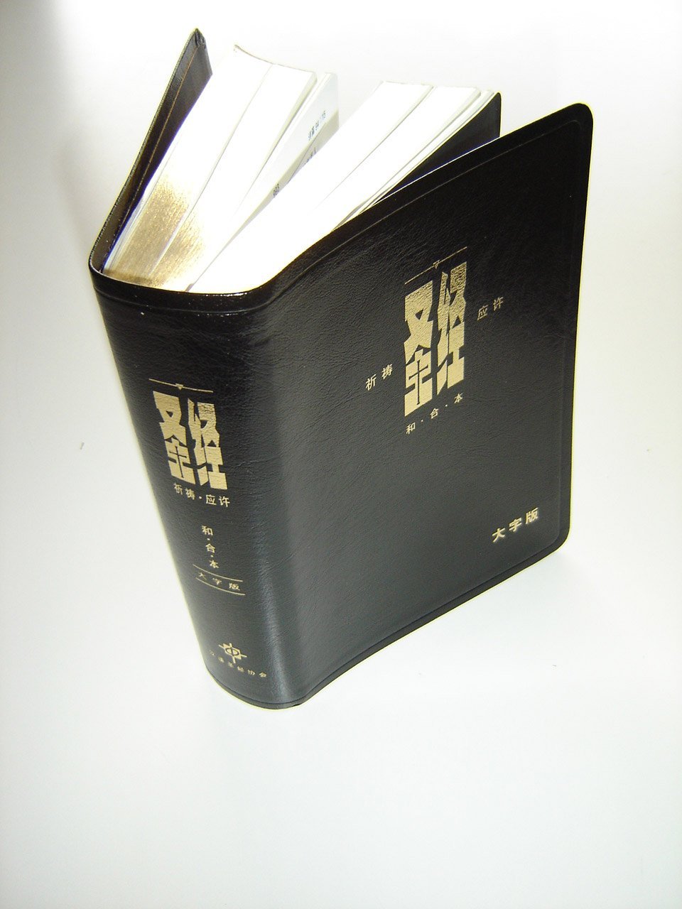 ²ëjrMX¥ Large Print Simplified Chinese Bible Leather
