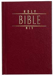 NIV Take-It-Anywhere Bible (Gods Word To Go)