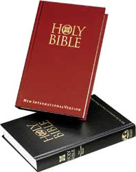 NIV Economy Bibles--Unbeatable Value in a Hardcover Bible